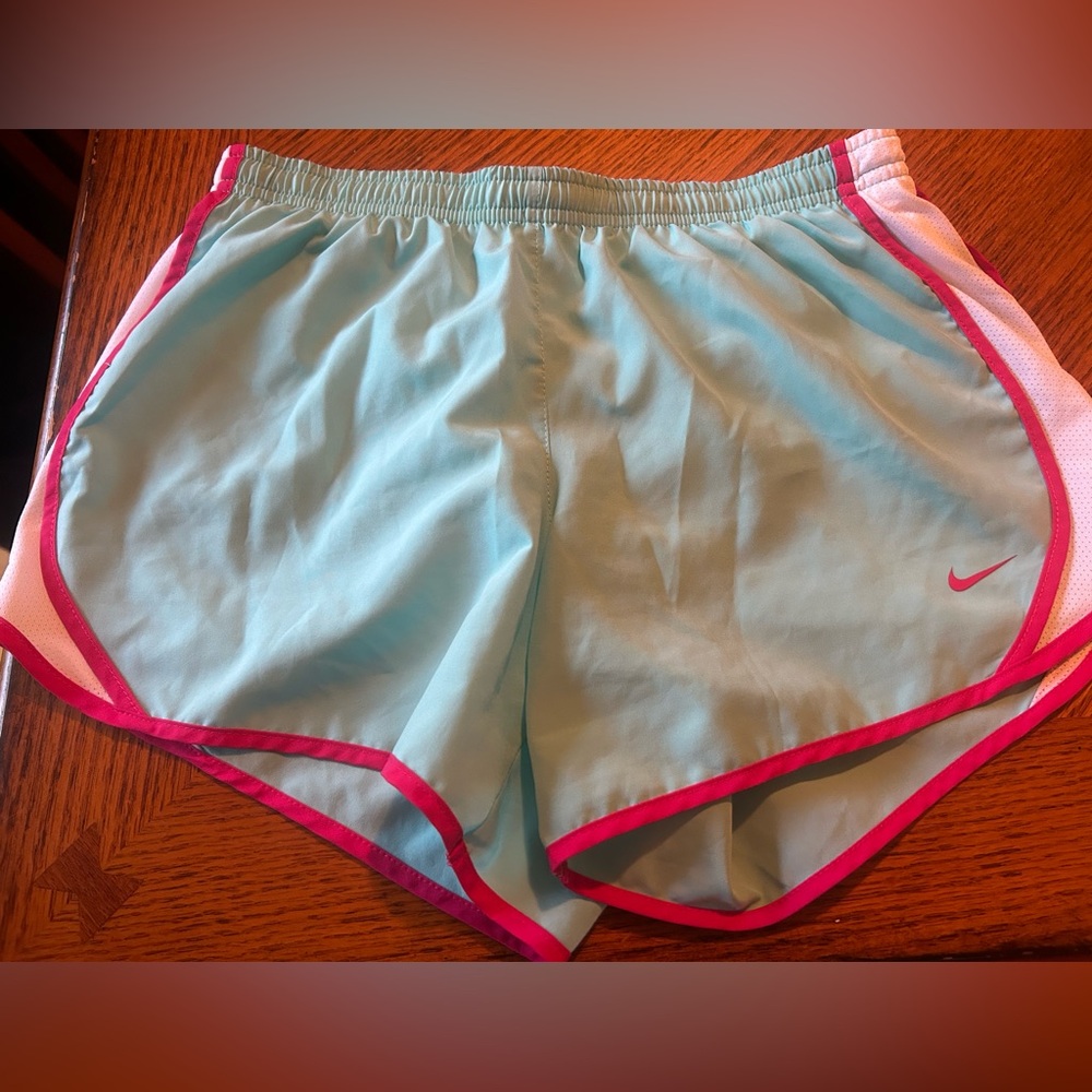 Nike teal and pink shorts
